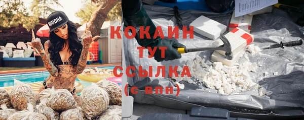 шишки Алзамай